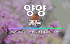 🌟양양: 강원도 양양군에 있는 읍. 군청 소재지이다. 면적은 32.35㎢. - 표준국어대사전