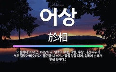 🌟어상: ‘어상하다’의 어근. (어상하다: 양쪽의 수준, 역량, 수량, 의견 따위가 서로 걸맞아 비슷하다.... - 표준국어대사전