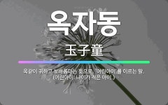 🌟옥자동: 옥같이 귀하고 보배롭다는 뜻으로, ‘어린아이’를 이르는 말. (어린아이: 나이가 적은 아이.) - 표준국어대사전