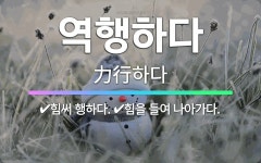 🌟역행하다: 힘써 행하다., 힘을 들여 나아가다. - 표준국어대사전