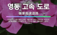 🌟영동 고속 도로: 인천광역시 남동구에서 강원도 강릉시에 이르는 고속 도로. 우리나라 동서를 꿰뚫은 간선 ... - 표준국어대사전