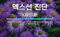 🌟엑스선 진단: ‘방사선진단’의 전 용어. (방사선 진단: 인체에 방사선 투시를 하여 얻은 상(像)으로 병... - 표준국어대사전