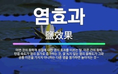 🌟염효과: 어떤 것의 화학적 성질에 대한 염의 효과를 이르는 말. 이온 간의 화학 반응 속도가 염의 첨가로... - 표준국어대사전