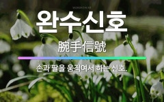 🌟완수신호: 손과 팔을 움직여서 하는 신호. - 표준국어대사전