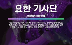 🌟요한 기사단: 제일 차 십자군 때에, 수도사 게라르트(Gerard)가 예루살렘에서 만든 종교 기사단. 십... - 표준국어대사전