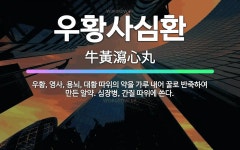 🌟우황사심환: 우황, 영사, 용뇌, 대황 따위의 약을 가루 내어 꿀로 반죽하여 만든 알약. 심장병, 간질 ... - 표준국어대사전