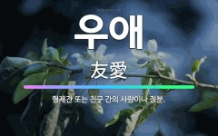 🌟우애: 형제간 또는 친구 간의 사랑이나 정분. - 표준국어대사전