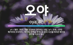 🌟오야: → 계주. (계주: 계를 조직하여 관리하는 사람.), → 두목. (두목: 패거리의 우두머리., 예... - 표준국어대사전