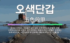 🌟오색단갑: 정대업지무에서, 무희들이 입던 갑옷. 오색 비단으로 만들며, 안팎 소맷부리에 푸른 갑옷과 검은... - 표준국어대사전