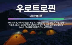 헥토_의약품_0비 | 🌟우로트로핀: 요로 소독제, 이뇨제 따위로 쓰는 헥사메틸렌테트라민 성분의 약품. 흰색 가루로, 냄새는 없으... - 표준국어대사전