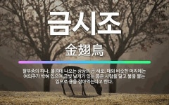 🌟금시조: 팔부중의 하나. 불경에 나오는 상상의 큰 새로, 매와 비슷한 머리에는 여의주가 박혀 있으며 금빛... - 표준국어대사전