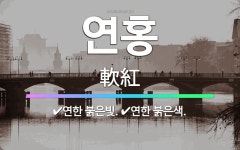 🌟연홍: 연한 붉은빛., 연한 붉은색. - 표준국어대사전