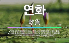 🌟연화: 국제 수지의 결제에서, 금이나 다른 나라 화폐와 바꿀 수 없는 화폐., ‘지폐’를 주조 화폐에 상... - 표준국어대사전