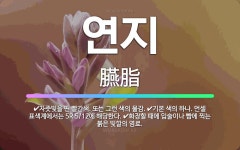 🌟연지: 기본 색의 하나. 먼셀 표색계에서는 5R 5/12에 해당한다., 자줏빛을 띤 빨간색. 또는 그런 ... - 표준국어대사전