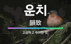 🌟운치: 고상하고 우아한 멋. - 표준국어대사전