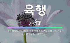 🌟육행: 여섯 가지의 덕행(德行). 효도, 형제 우애, 친족 화목, 외척 친목, 친구 간의 믿음, 구휼을 ... - 표준국어대사전