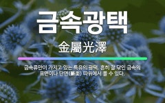 🌟금속광택: 금속류만이 가지고 있는 특유의 광택. 흔히 잘 닦인 금속의 표면이나 단면(斷面) 따위에서 볼 ... - 표준국어대사전