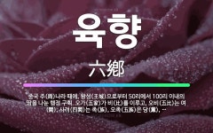 🌟육향: 중국 주(周)나라 때에, 왕성(王城)으로부터 50리에서 100리 이내의 땅을 나눈 행정 구획. 오... - 표준국어대사전