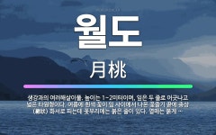 🌟월도: 생강과의 여러해살이풀. 높이는 1~2미터이며, 잎은 두 줄로 어긋나고 넓은 타원형이다. 여름에 흰... - 표준국어대사전