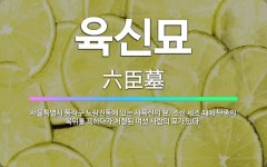 🌟육신묘: 서울특별시 동작구 노량진동에 있는 사육신의 묘. 조선 세조 때에 단종의 복위를 꾀하다가 처형된 ... - 표준국어대사전