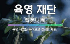 🌟육영 재단: 육영 사업을 목적으로 결성한 재단. - 표준국어대사전