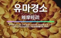 🌟유마경소: 중국 당나라의 승려 도액(道液)이 유마경을 주해(註解)한 책. 정식 이름은 ≪정명경집해관중소(... - 표준국어대사전