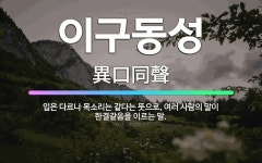 🌟이구동성: 입은 다르나 목소리는 같다는 뜻으로, 여러 사람의 말이 한결같음을 이르는 말. - 표준국어대사전