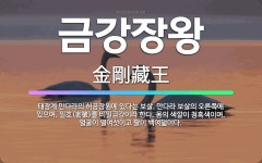 🌟금강장왕: 태장계 만다라의 허공장원에 있다는 보살. 만다라 보살의 오른쪽에 있으며, 밀호(密號)를 비밀금... - 표준국어대사전