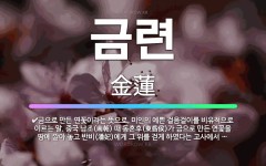 🌟금련: 금으로 만든 연꽃이라는 뜻으로, 미인의 예쁜 걸음걸이를 비유적으로 이르는 말. 중국 남조(南朝) ... - 표준국어대사전