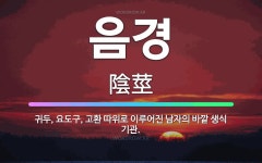 🌟음경: 귀두, 요도구, 고환 따위로 이루어진 남자의 바깥 생식 기관. - 표준국어대사전
