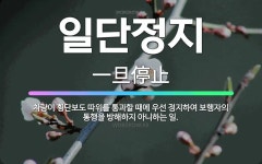 🌟일단정지: 차량이 횡단보도 따위를 통과할 때에 우선 정지하여 보행자의 통행을 방해하지 아니하는 일. - 표준국어대사전