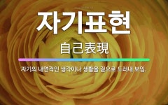 🌟자기표현: 자기의 내면적인 생각이나 생활을 겉으로 드러내 보임. - 표준국어대사전