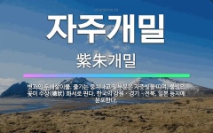 🌟자주개밀: 볏과의 두해살이풀. 줄기는 뭉쳐나고 밑부분은 자줏빛을 띠며, 풀빛의 꽃이 수상(穗狀) 화서로 ... - 표준국어대사전