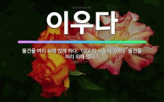🌟이우다: 물건을 머리 위에 얹게 하다. ‘이다’의 사동사. (이다: 물건을 머리 위에 얹다.) - 표준국어대사전