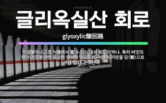 🌟글리옥실산 회로: 미생물이나 고등 식물에서 볼 수 있는 대사 회로의 하나. 특히 씨앗의 발아 과정에 관한... - 표준국어대사전
