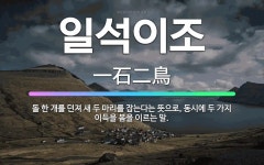 🌟일석이조: 돌 한 개를 던져 새 두 마리를 잡는다는 뜻으로, 동시에 두 가지 이득을 봄을 이르는 말. - 표준국어대사전