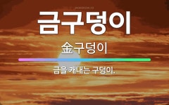 🌟금구덩이: 금을 캐내는 구덩이. - 표준국어대사전