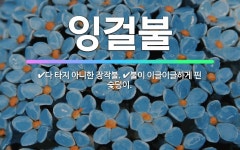 🌟잉걸불: 불이 이글이글하게 핀 숯덩이., 다 타지 아니한 장작불. - 표준국어대사전