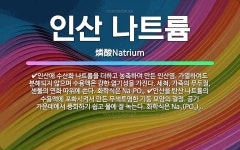 🌟인산 나트륨: 인산에 수산화 나트륨을 더하고 농축하여 만든 인산염. 가열하여도 분해되지 않으며 수용액은 ... - 표준국어대사전