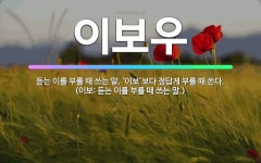 🌟이보우: 듣는 이를 부를 때 쓰는 말. ‘이보’보다 정답게 부를 때 쓴다. (이보: 듣는 이를 부를 때 ... - 표준국어대사전