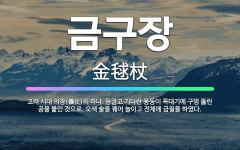 🌟금구장: 고려 시대 의장(儀仗)의 하나. 둥글고 기다란 몽둥이 꼭대기에 구멍 뚫린 공을 붙인 것으로, 오... - 표준국어대사전