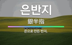 🌟은반지: 은으로 만든 반지. - 표준국어대사전