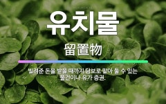 동홍동유가돈 | 🌟유치물: 빌려준 돈을 받을 때까지 담보로 맡아 둘 수 있는 물건이나 유가 증권. - 표준국어대사전