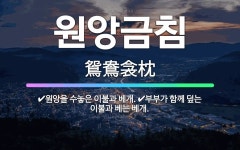 🌟원앙금침: 부부가 함께 덮는 이불과 베는 베개., 원앙을 수놓은 이불과 베개. - 표준국어대사전