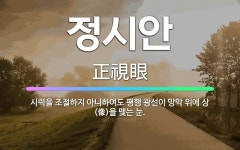🌟정시안: 시력을 조절하지 아니하여도 평행 광선이 망막 위에 상(像)을 맺는 눈. - 표준국어대사전