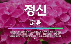 🌟정신: 오분법신(五分法身)의 하나. 소승 불교에서, 부처의 몸의 한 부분을 이르는 것으로, 계(戒)ㆍ정(... - 표준국어대사전