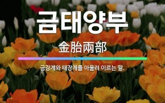 🌟금태양부: 금강계와 태장계를 아울러 이르는 말. - 표준국어대사전