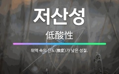 🌟저산성: 위액 속의 산도(酸度)가 낮은 성질. - 표준국어대사전