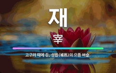 재둔머리방 | 🌟재: 고구려 때에 둔, 성읍(城邑)의 으뜸 벼슬. - 표준국어대사전