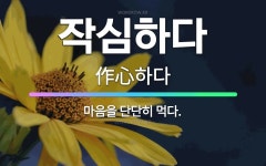 🌟작심하다: 마음을 단단히 먹다. - 표준국어대사전